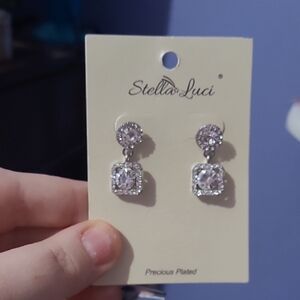 Stella Luce Dazzling Silver Drop Earrings